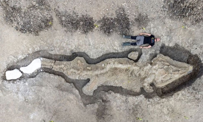 Phát hiện hóa thạch “rồng biển” 180 triệu năm tuổi dài hơn 10m